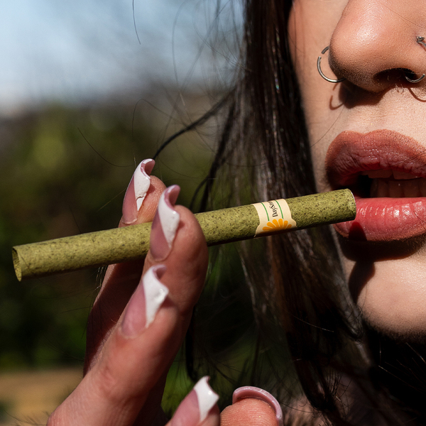DaySavers Half Gram 1 1/4 Green Hybrid Hemp Blunt Wrap Artisan Pre Rolled Tubes with Spiral Filter Tips - Hybrid Hemp Wrap