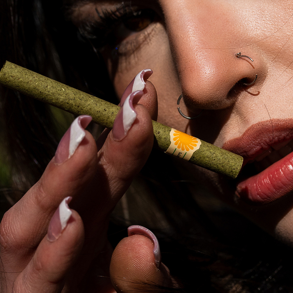 palm leaf blunts