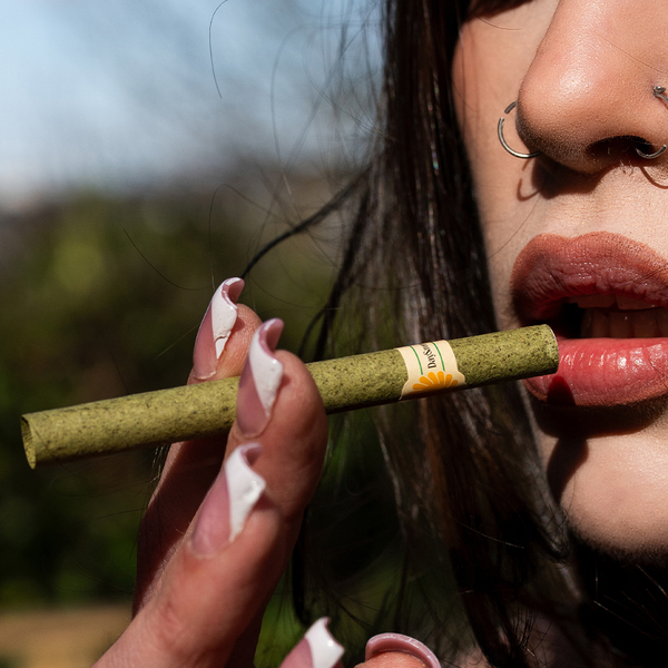 DaySavers Half Gram 1 1/4 Hybrid Green Hemp Blunt Wrap Artisan Pre Rolled Tubes with Spiral Filter Tips [10 Pack]