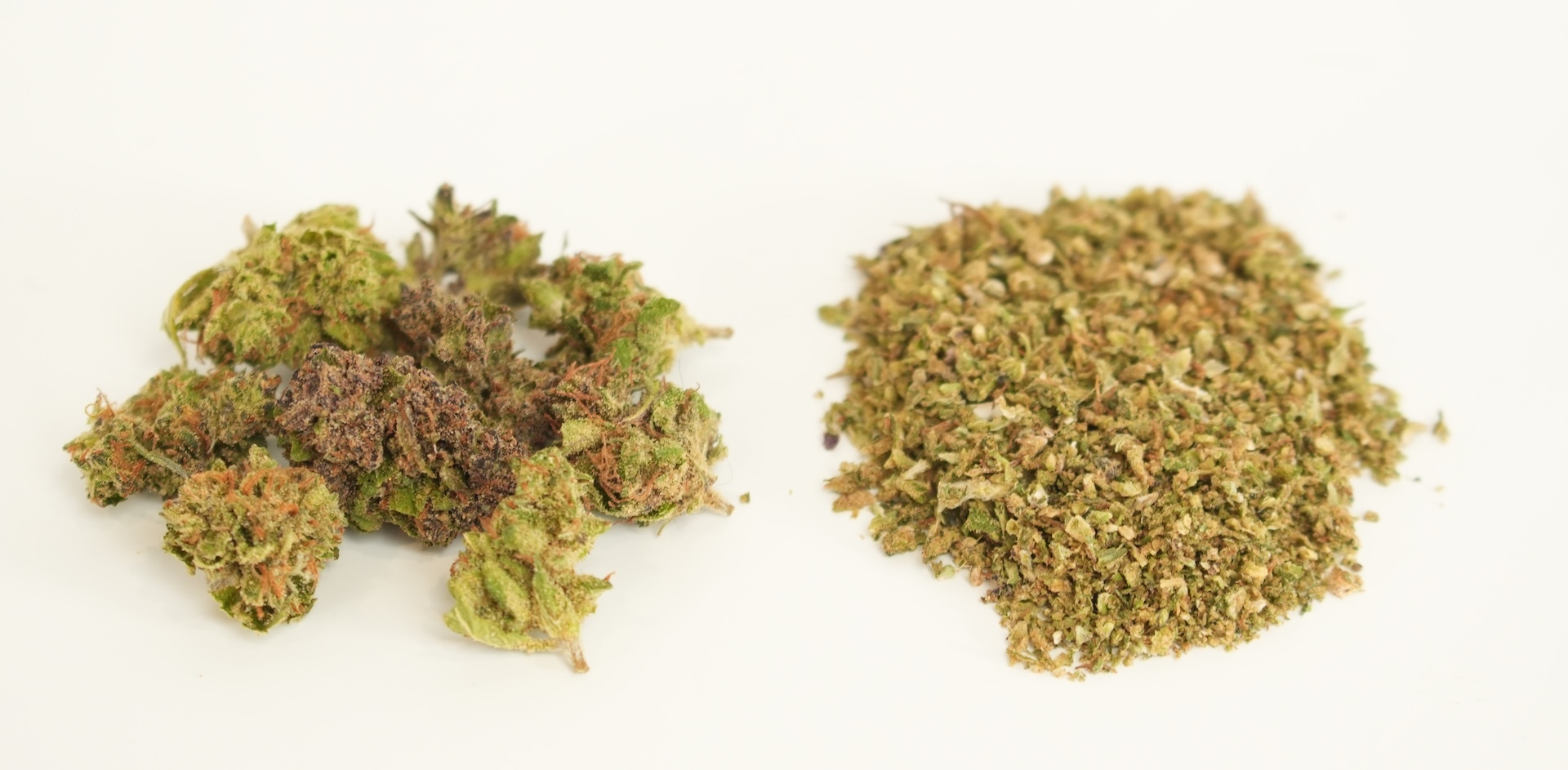 gram bud