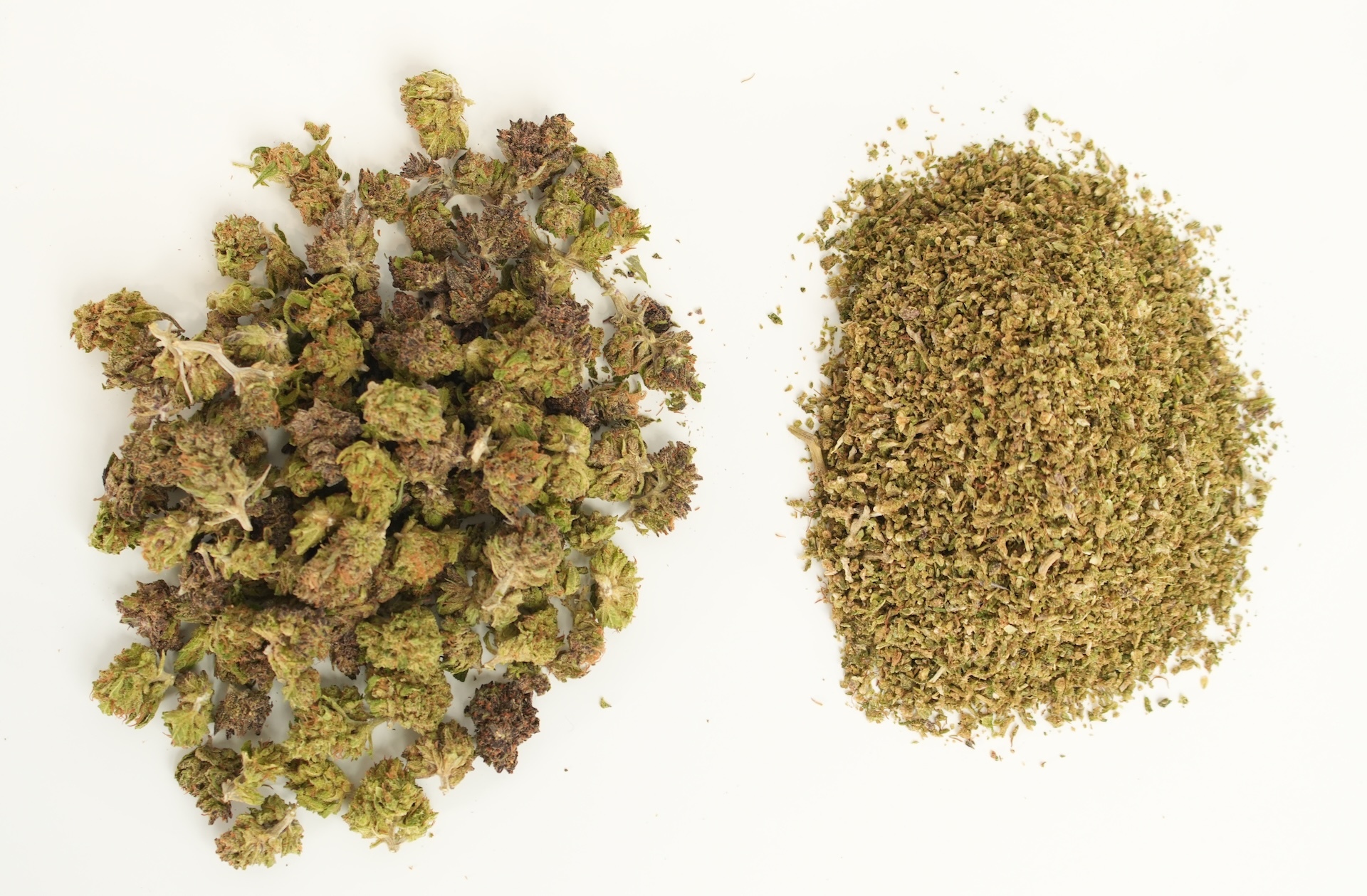 half ounce bud