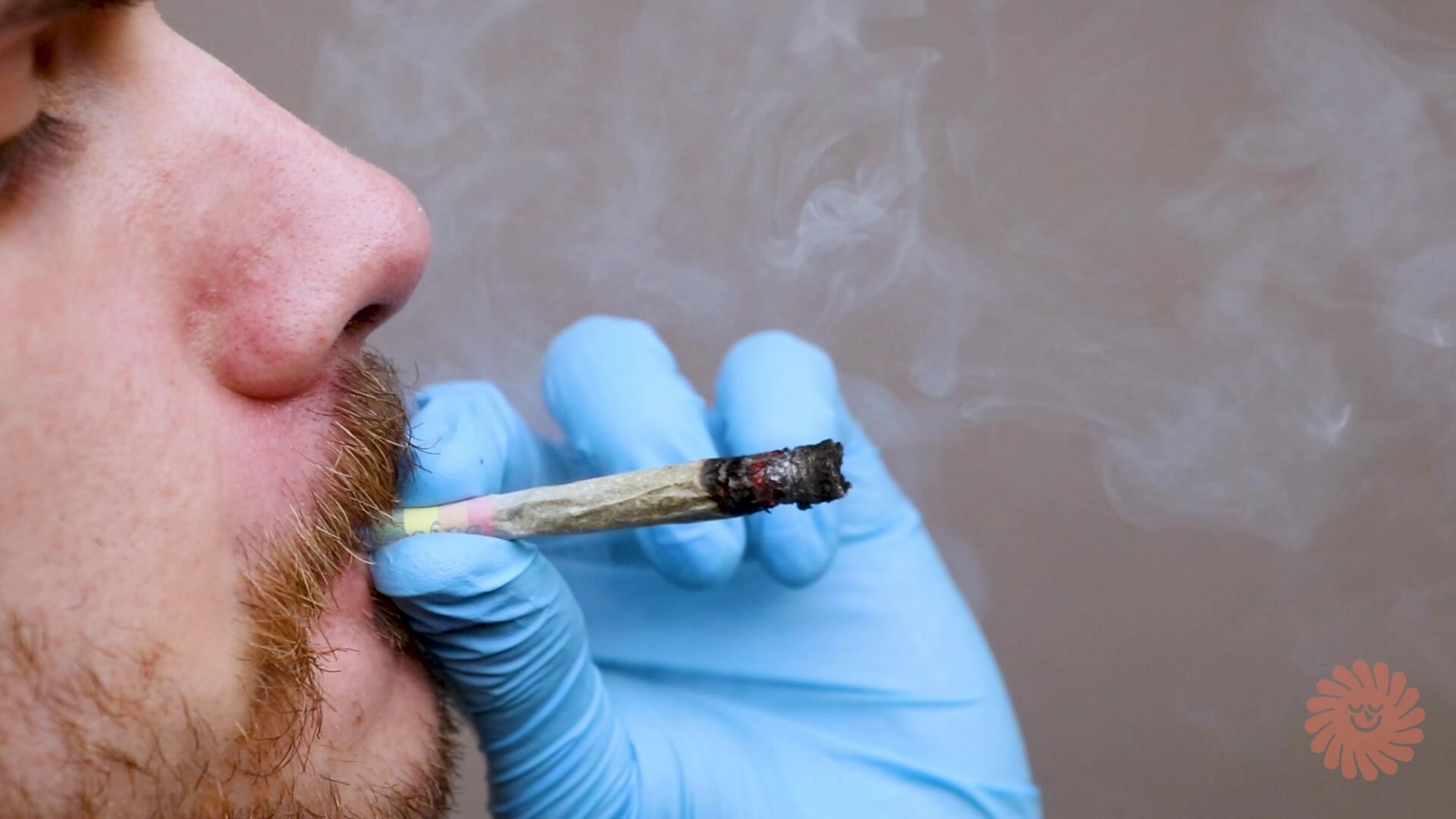 Joints Pre-rolls
