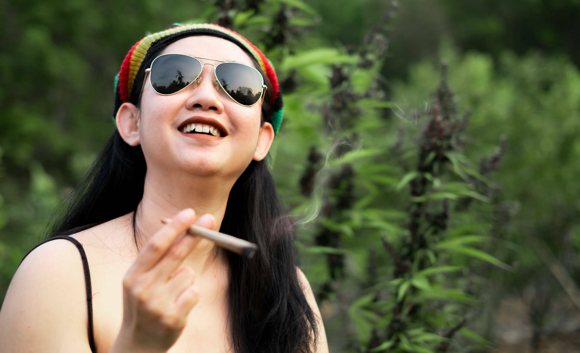 Joints Pre-rolls
