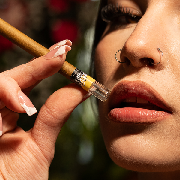 Fill-a Blunts King Size 1-Gram Pre-Rolled Blunt Tubes with Glass Filter Tips [Pack of 4 Blunt Tubes] - 1g