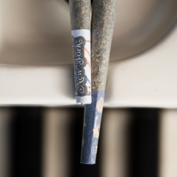 DaySavers 1 1/4 Half-Gram New York Pre-Rolled Cones - Refined White - New York Represent!