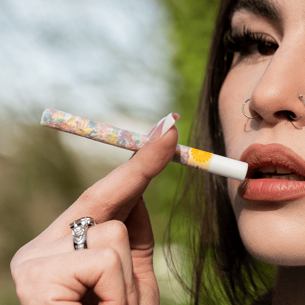 DaySavers 1 Gram King Size Pre Rolled Tubes with Ceramic Filter Tips - Refined White [5 Tube Pack]
