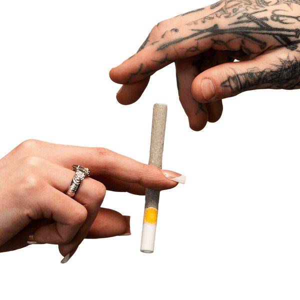 DaySavers Pre Rolled Tubes - Ultra-Thin Slow-Burning French-Milled Rolling Paper