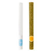 Artisan Pre Rolled Tubes