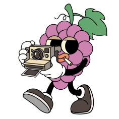 Media Assets